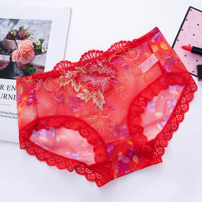 Culotte en Coton Antibactérien avec Broderie en Dentelle