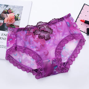 Culotte en Coton Antibactérien avec Broderie en Dentelle